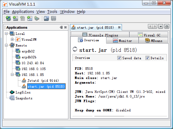 visualVM4
