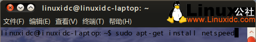 Ubuntu 10.04下实时显示当前网络流量工具NetSpeed