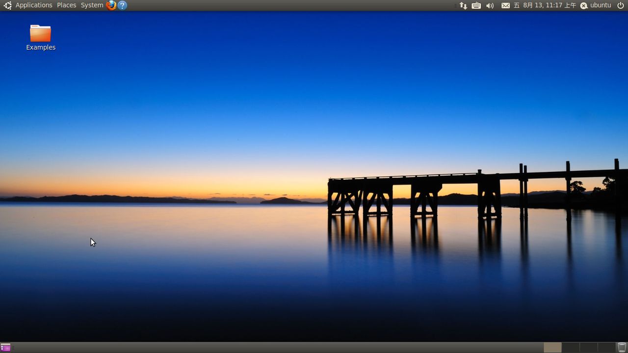 Ubuntu 10.10