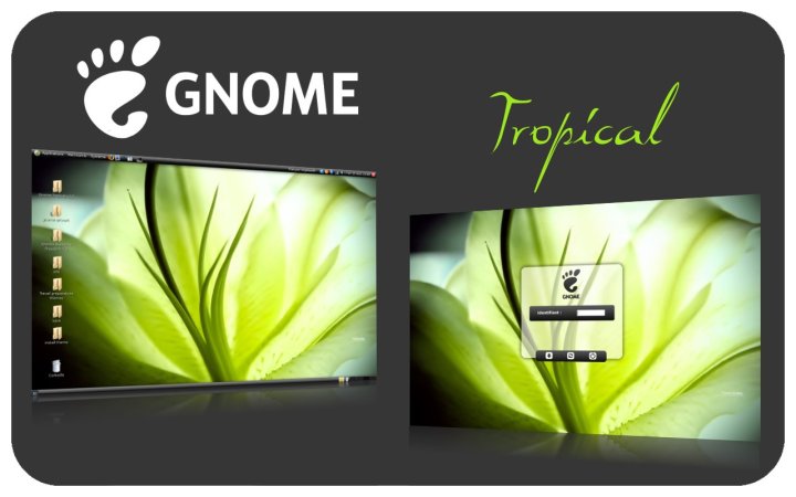 tropical-prsentation