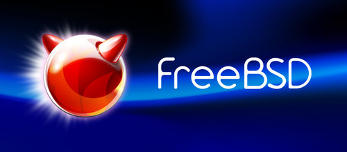 FreeBSD 8.1 