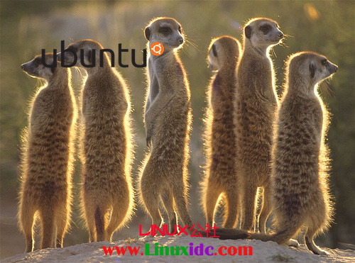 Ubuntu 10.10操作系统多种功能抢先看