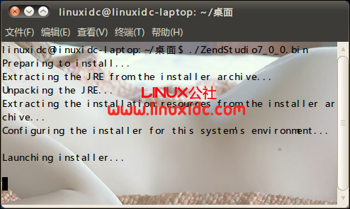 Ubuntu 10.04 安装 Zend Studio 7