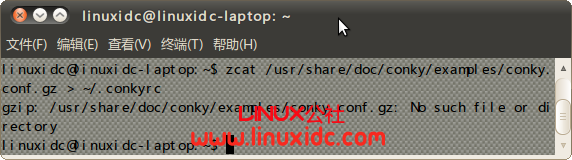 Ubuntu 10.04下Conky安装配置笔记