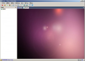 Ubuntu 10.04最新版简单体验