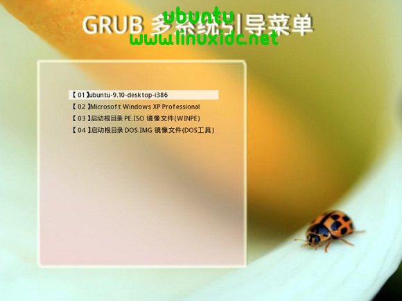 善用磁盘主引导记录（MBR），用grldr引导系统及文