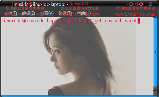Ubuntu 9.10下安装抓屏截图工具Scrot