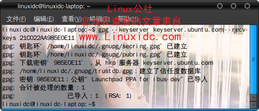Ubuntu 9.04下实战安装ibus输入法图解
