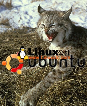 图解Ubuntu版本有趣代号！乌班图的动物园Lucid Lynx 清醒的猞猁 Ubuntu 10.04