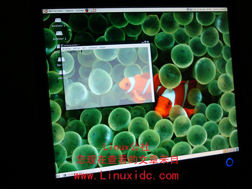 Ubuntu 9.04华丽的3D桌面