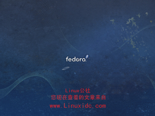 Fedora 11 特性及海量图赏