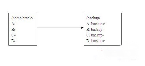 Unix系统下Find命令的三个高级应用