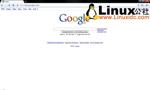 Google Chrome 2.0.176.0修复Linux用户界面崩溃问题