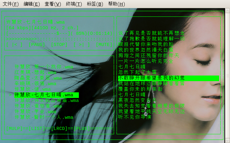 Linux用户首选:类似xmms的mplayer播放器前端CMMusic