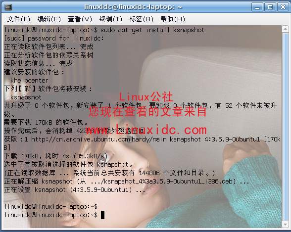 Ubuntu下安装抓图软件KSnapshot