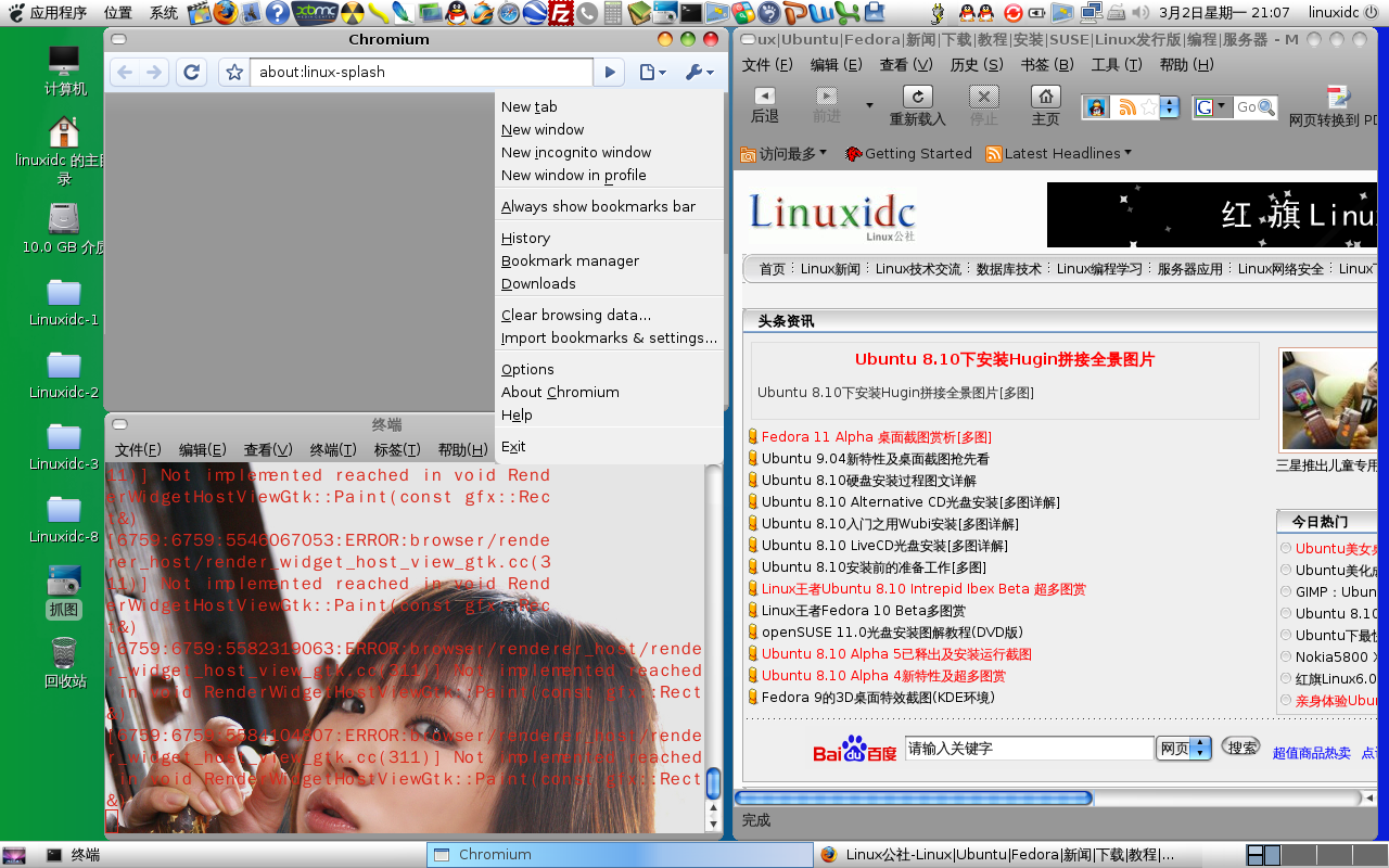 Ubuntu 8.10下Chrome for Linux截图