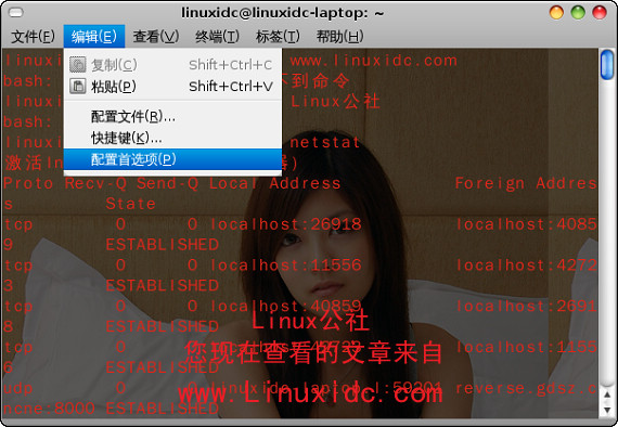 给Ubuntu终端Terminal美化全过程[多图]
