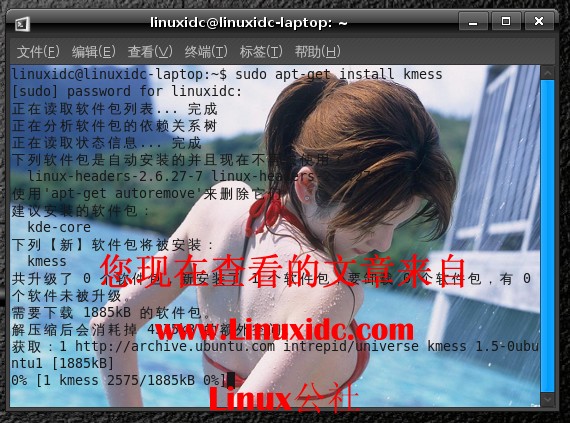 Ubuntu 8.10下安装使用KDE环境MSN客户端KMess[图文]