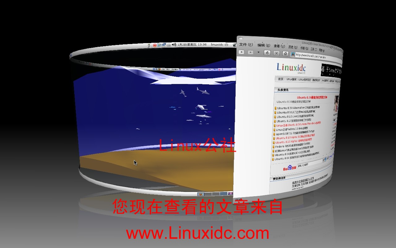 Ubuntu 8.10开启3D养鱼效果[多图]