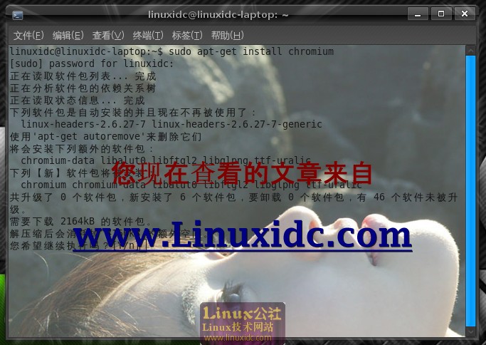 Ubuntu 8.10下安装很好玩的雷电休闲游戏[多图]