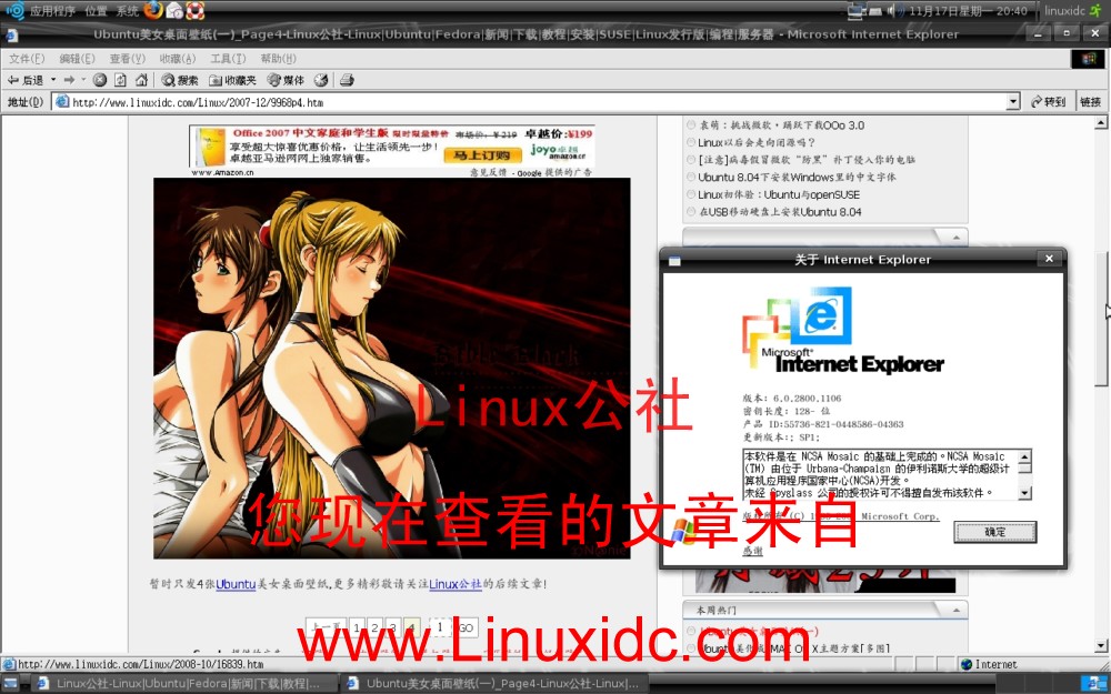 亲手教你Ubuntu 8.10下用ies4linux安装IE浏览器[多图]