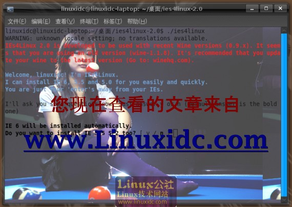 亲手教你Ubuntu 8.10下用ies4linux安装IE浏览器[多图]