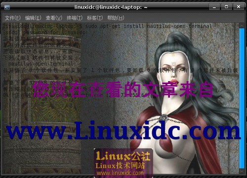 Ubuntu优化之把终端添加到右键快捷菜单[图文]