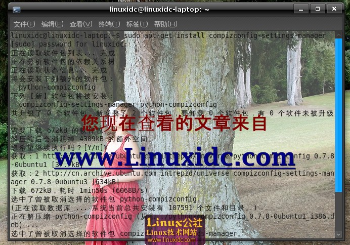Ubuntu 8.10炫酷3D桌面特效的安装启用[多图]