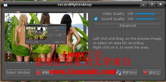 Ubuntu 8.10下安装优秀的屏幕录像软件RecordMyDesktop