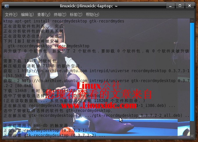 Ubuntu 8.10下安装优秀的屏幕录像软件RecordMyDesktop