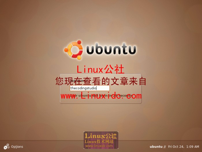 Ubuntu 8.10 Intrepid Ibex RC版桌面多图秀