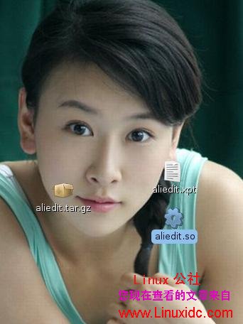 Ubuntu+FireFox使用支付宝更让人放心[附安装教程+图]