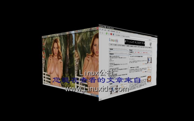 Ubuntu 3D效果真是爽[图文]