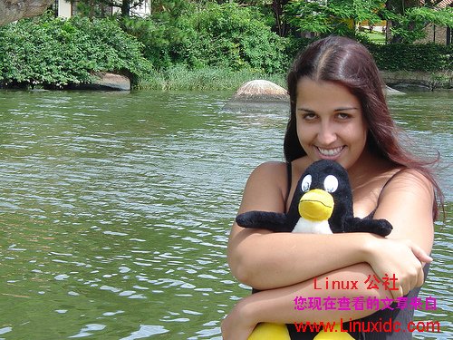 Linux吉祥物胖企鹅Tux酷图赏