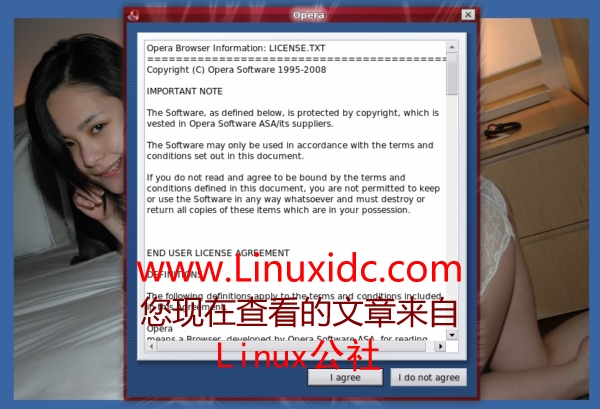 Ubuntu 8.04下Opera的安装及简体中文版的设置(图)