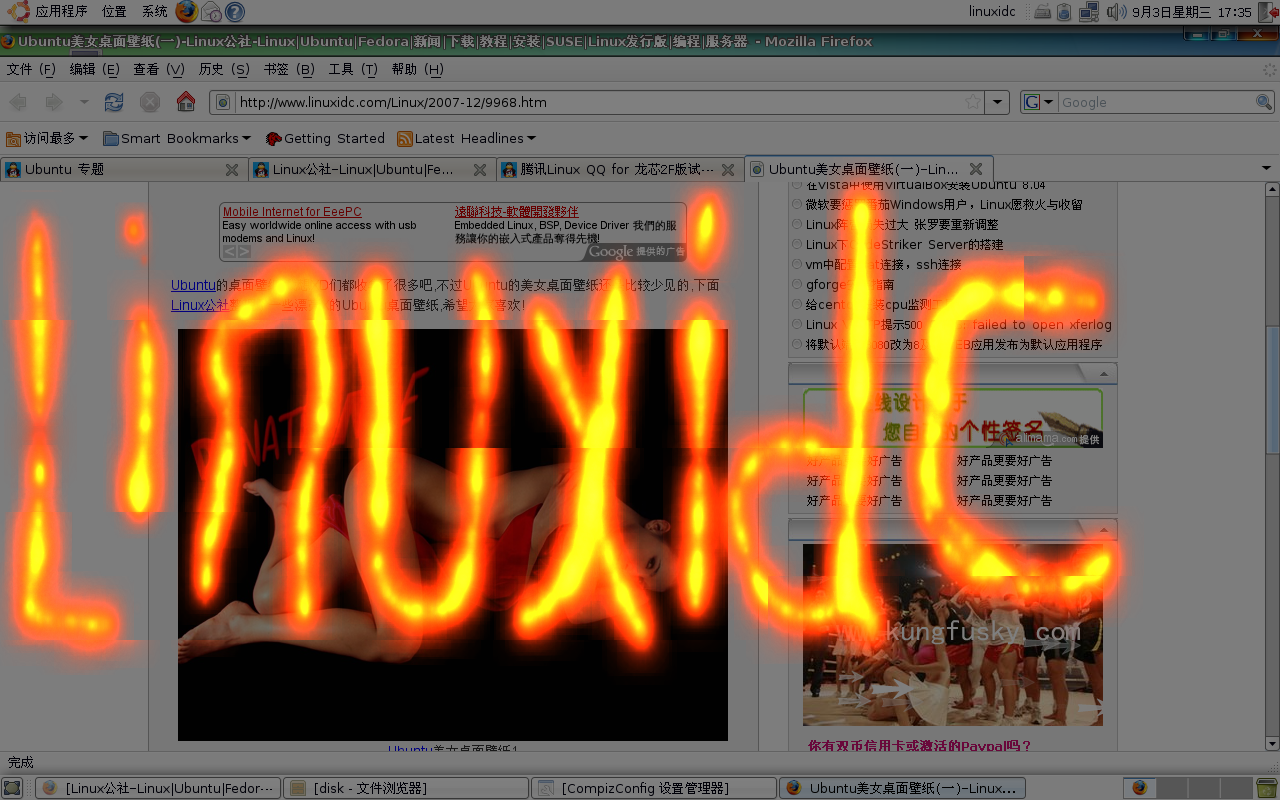 重温Ubuntu 8.04下Compiz Fusion桌面特效的设置[多图]
