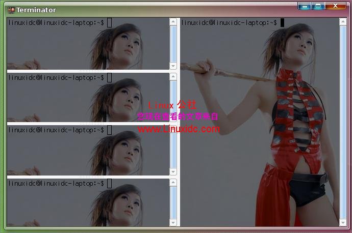 给Ubuntu Linux安装较好的终端Terminator[图文]