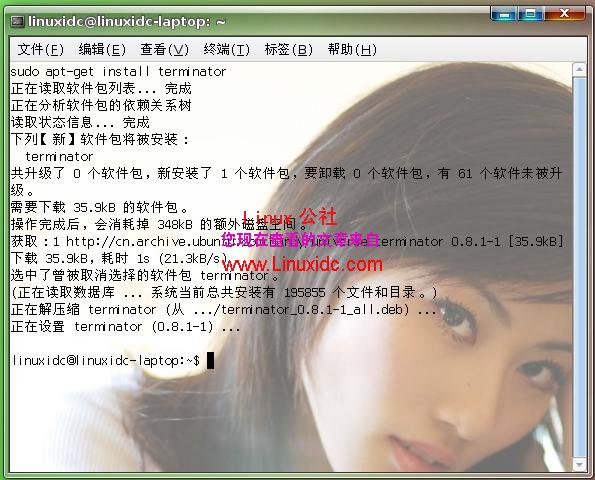 给Ubuntu Linux安装较好的终端Terminator[图文]