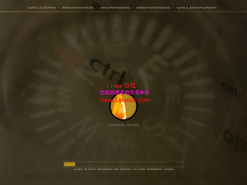 基于Slackware的Linux发行版GoblinX (XFlash) 2008.2 (2.7) [多图]