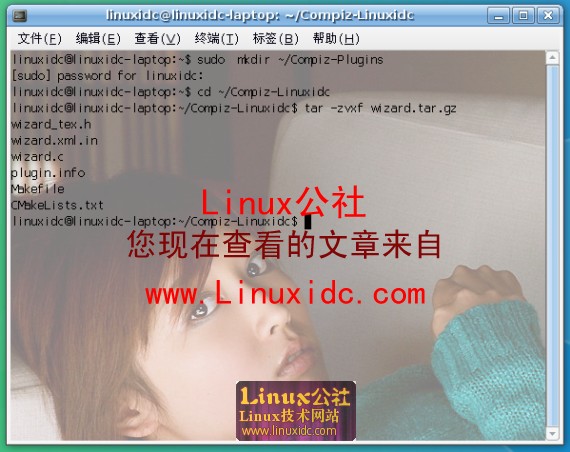 Ubuntu下安裝Compiz插件Wizard让桌面也能放烟花[多图]