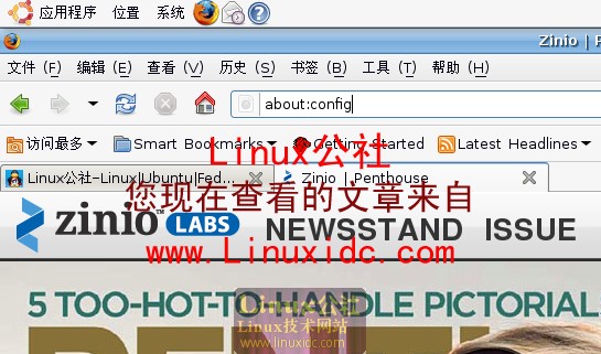Ubuntu 8.04中用Firefox浏览器免费看花花公子杂志[多图]
