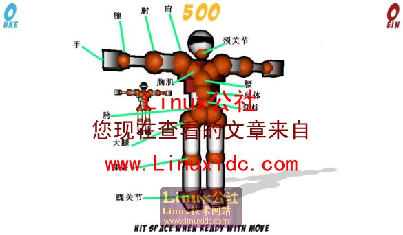 Ubuntu下玩回合制的格斗游戏:TORIBASH[图文]