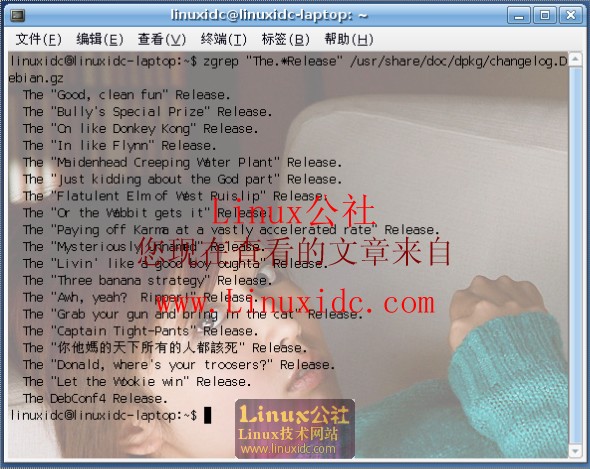 Ubuntu 8.04里隐藏的复活节彩蛋[多图]