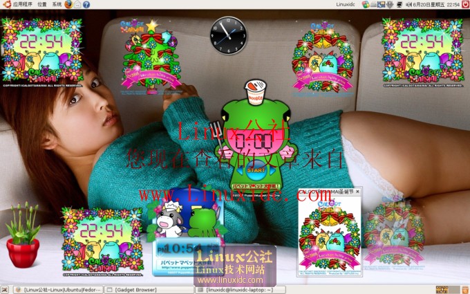 Ubuntu 8.04下华美的Google Gadgets FOR Linux版使用[图文]