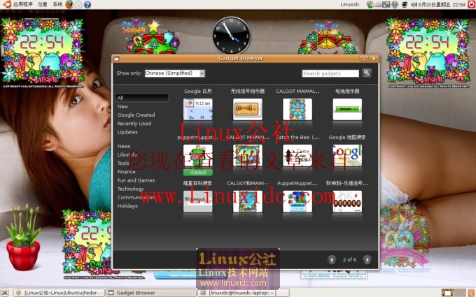 Ubuntu 8.04下华美的Google Gadgets FOR Linux版使用[图文]
