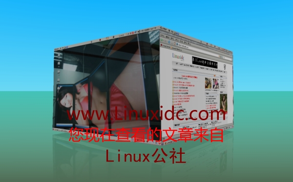 Ubuntu8.04 3D桌面再欣赏