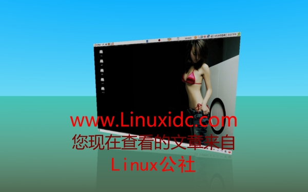 Ubuntu 8.04的3D功能安装初使用