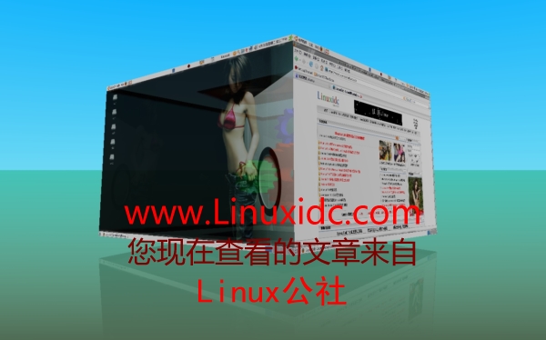 Ubuntu 8.04的3D功能安装初使用