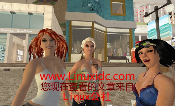 Ubuntu下玩特殊的3D虚拟世界网络游戏“第二人生”(图)