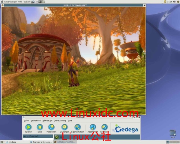 Ubuntu下安装Cedega玩魔兽争霸游戏